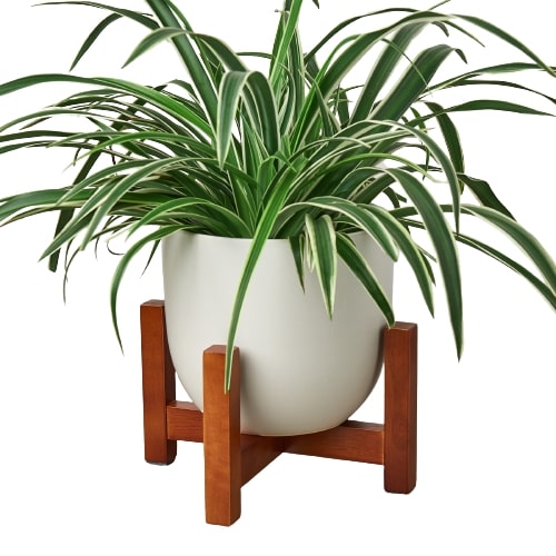 white 7" houseplant pot with contemporary wood stand